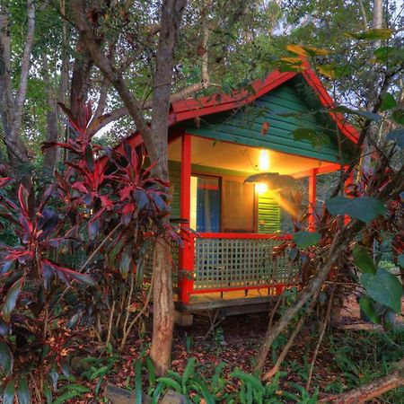 Lake Eacham Tourist Park & Cabins Экстерьер фото