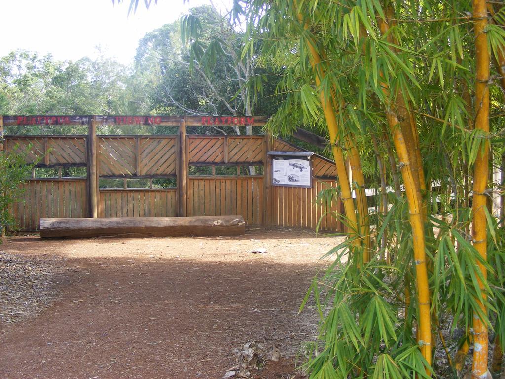 Lake Eacham Tourist Park & Cabins Экстерьер фото