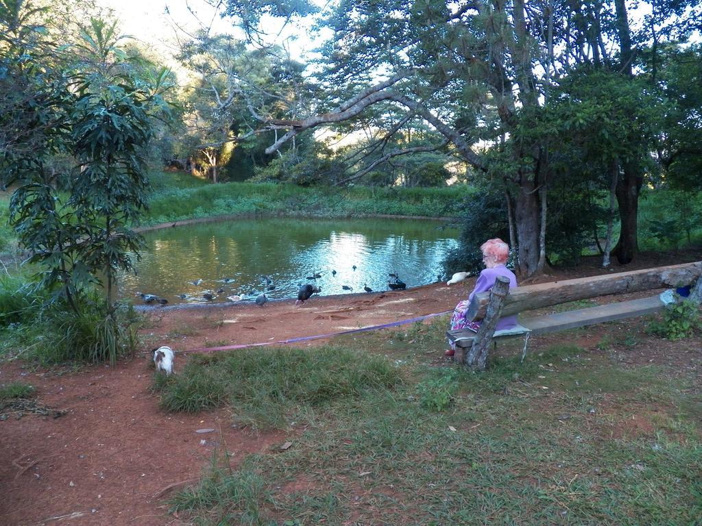 Lake Eacham Tourist Park & Cabins Экстерьер фото