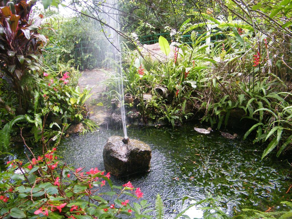 Lake Eacham Tourist Park & Cabins Экстерьер фото