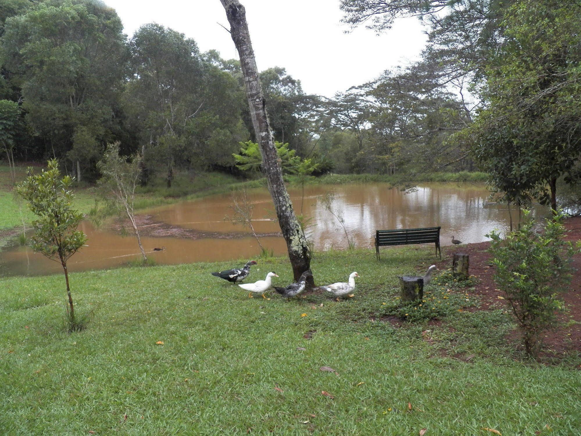 Lake Eacham Tourist Park & Cabins Экстерьер фото